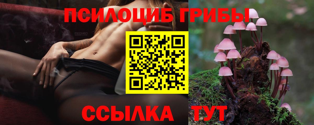 Галлюциногенные грибы MAGIC MUSHROOMS  Галлюциногенные грибы прущие грибы  Обь  наркотики  Вход с VPN 