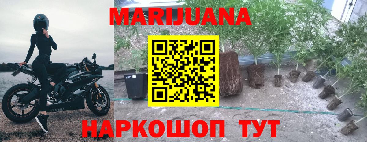 Шишки марихуана тримм  Вход с VPN  Обь  МАРИХУАНА ГИДРОПОН  Канабис OG Kush 